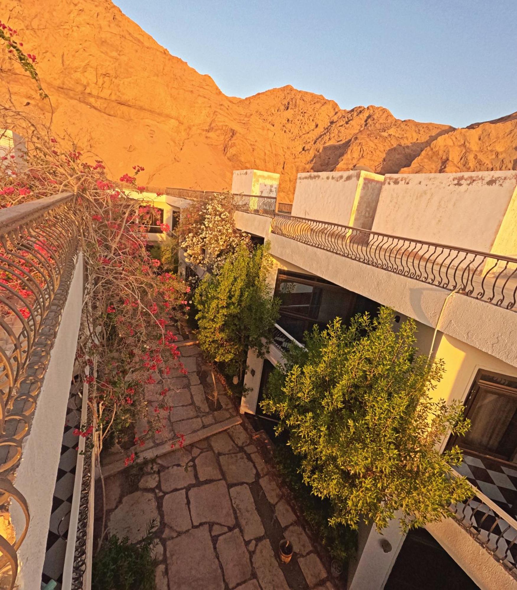 Dahab Bay Hotel Extérieur photo