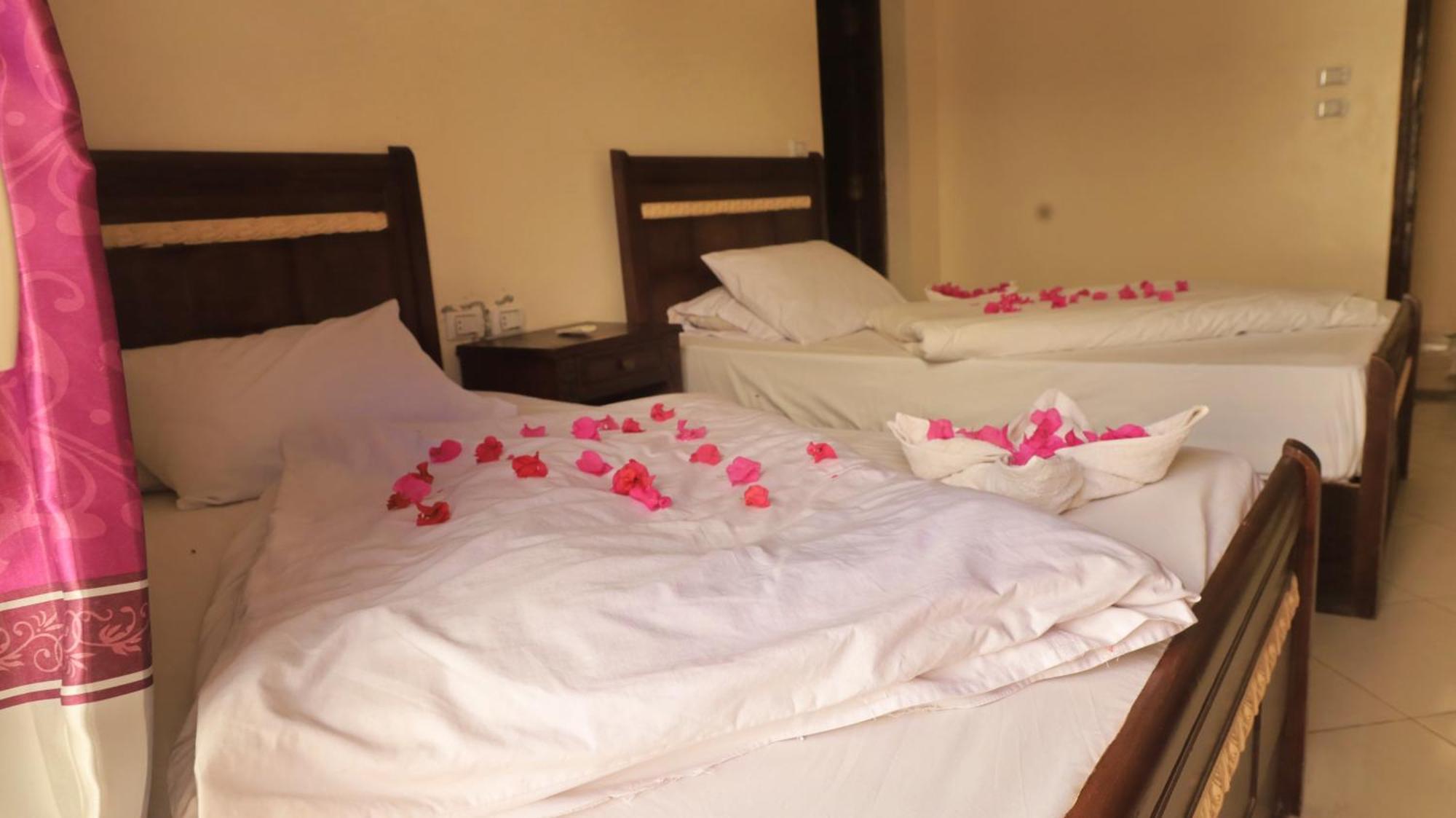 Dahab Bay Hotel Chambre photo